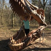 ���������� ����, ���� ������� Just _A _Man, 40 ���, ������������ ��� ������, ����� � ���������