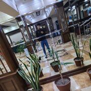 ���������� ���������, ���� ����� ���, 24 ����, ������������ ��� ������, ����� � ���������, c�������� ���������