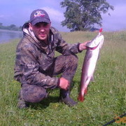 ���������� �����, ���� ������� Roman, 41 ���, ������������ ��� ������, ����� � ���������, c�������� ���������