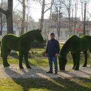 ���������� ���������, ���� ������� ������, 49 ���, ������������ ��� ������, ����� � ���������