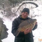  ,   , 44 ,   