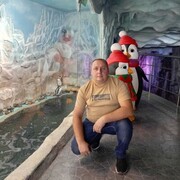 ���������� �����, ���� ������� ������, 41 ���, ������������ ��� ������, ����� � ���������