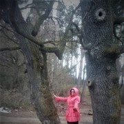 ���������� ��������, ���� ������� �������, 55 ���, ������������ ��� ����� � ���������, c�������� ���������