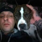 ���������� �����, ���� ������� ������, 38 ���, ������������ ��� ������, ����� � ���������, c�������� ���������