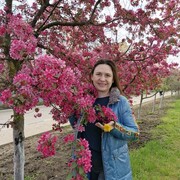 ���������� ���������, ���� ������� �����, 47 ���, ������������ ��� ����� � ���������, c�������� ���������