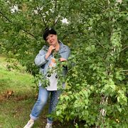 ���������� ����, ���� ������� �����, 56 ���, ������������ 