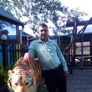  --,   , 50 ,   