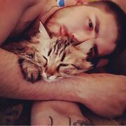 ���������� ������-��-����, ���� ������� ������, 32 ����, ������������ ��� ������, ����� � ���������