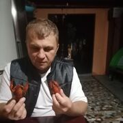  ,   , 51 ,   ,   