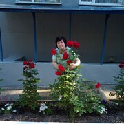 ���������� ������ ��������, ���� ������� ������, 51 ���, ������������ ��� c�������� ���������