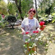 ���������� ����, ������� �����, 50