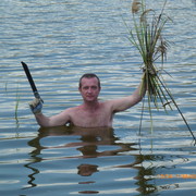 ���������� ����, ���� ������� �������, 50 ���, ������������ ��� ������, ����� � ���������, c�������� ���������