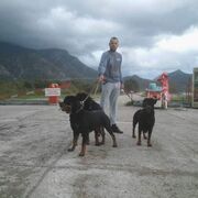  Podgorica,  zoran, 38