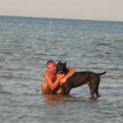  ,   IGOR, 52 ,   ,   , c , 