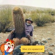  ,  , 32