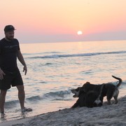 ���������� ���������, ���� ������� �������, 43 ����, ������������ ��� ������, ����� � ���������, c�������� ���������