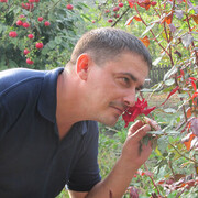 ���������� ������, ������� �������, 48