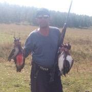  ,   , 56 ,   