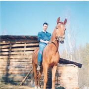 ���������� ���������, ���� ������� ���������, 47 ���, ������������ ��� ������, ����� � ���������, c�������� ���������