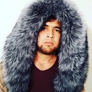  -,   Alisher, 33 ,   ,   , c 