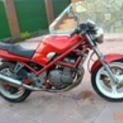 ���������� ���������, ���� ������� �������, 33 ����, ������������ ��� ������, ����� � ���������, c�������� ���������