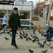 ���������� �����������, ���� ������� ���������, 28 ���, ������������ ��� ����� � ���������