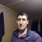  ,   Mishka, 33 ,   ,   , c 
