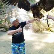  ,   , 34 ,   c 