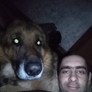  ,   , 37 ,   ,   
