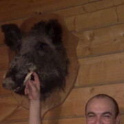 ���������� ���������� �����, ���� ������� ������, 46 ���, ������������ ��� ����� � ���������, c�������� ���������