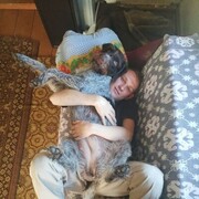 ���������� ������, ���� ������� ����, 31 ���, ������������ ��� ������, ����� � ���������