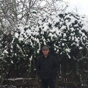 ���������� �������, ���� ������� Slavik, 50 ���, ������������ ��� c�������� ���������