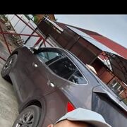 ���������� ������-��-����, ���� ������� �����, 44 ����, ������������ ��� ����� � ���������, c�������� ���������, ���������