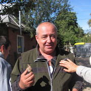  ,   , 67 ,   