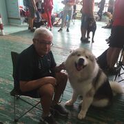 ���������� ��������, ���� ������� ������, 57 ���, ������������ ��� ������, ����� � ���������, c�������� ���������