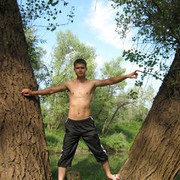 ���������� ������, ���� ������� Nemec, 37 ���, ������������ ��� ������, ����� � ���������, c�������� ���������