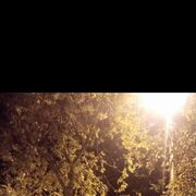 ���������� ������������, ������ ���������, 24