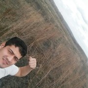 ���������� �������, ���� ������� ����, 33 ����, ������������ 