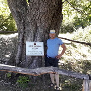 ���������� �����, ���� ������� ���������, 51 ���, ������������ ��� ������, ����� � ���������