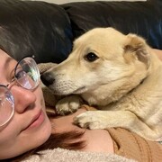 ���������� �����-�������, ���