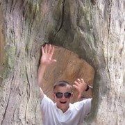 ���������� �������, ���� ������� Strelet�, 35 ���, ������������ ��� ������