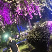  ,   Mishake, 24 ,   ,   , c , 