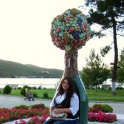 ���������� ������, ���� ������� ���������, 37 ���, ������������ ��� ������, ����� � ���������, c�������� ���������