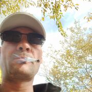  ,   , 43 ,     