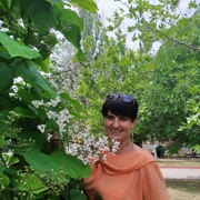  ,   , 57 ,   ,   