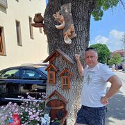  ,   leks, 44 ,   ,   