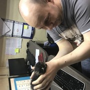  ,   , 40 ,   