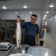 ���������� ������, ���� ������� �������, 46 ���, ������������ ��� ������, ����� � ���������, c�������� ���������