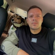 ���������� ������, ���� ������� �������, 43 ����, ������������ ��� ������, ����� � ���������