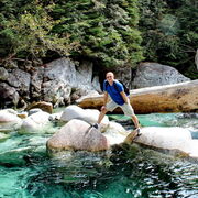 ���������� �������, ���� ������� Vikont, 60 ���, ������������ ��� ������, ����� � ���������, c�������� ���������